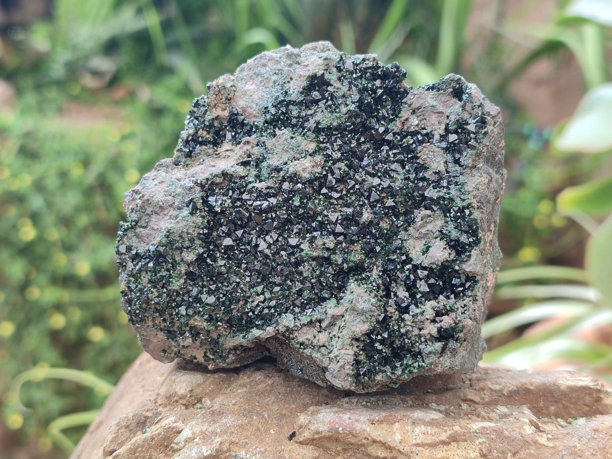 Natural Libethenite Crystals On Dolomite Matrix Specimens x 2 From Shituru, Congo