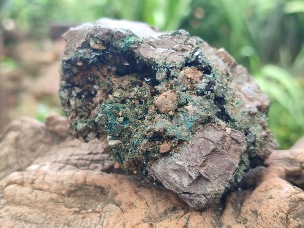 Natural Libethenite Crystals On Dolomite Matrix Specimens x 2 From Shituru, Congo