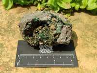 Natural Libethenite Crystals On Dolomite Matrix Specimens x 2 From Shituru, Congo