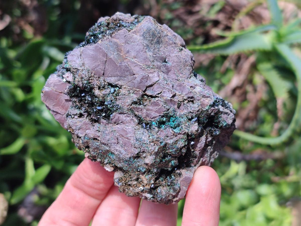 Natural Libethenite Crystals On Dolomite Matrix Specimens x 2 From Shituru, Congo