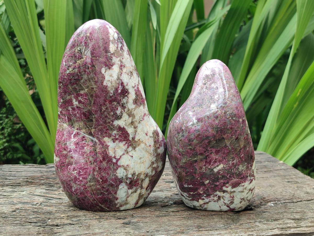 Polished Rubellite Pink Tourmaline Standing Free Forms x 2 From Ambatondrazaka, Madagascar