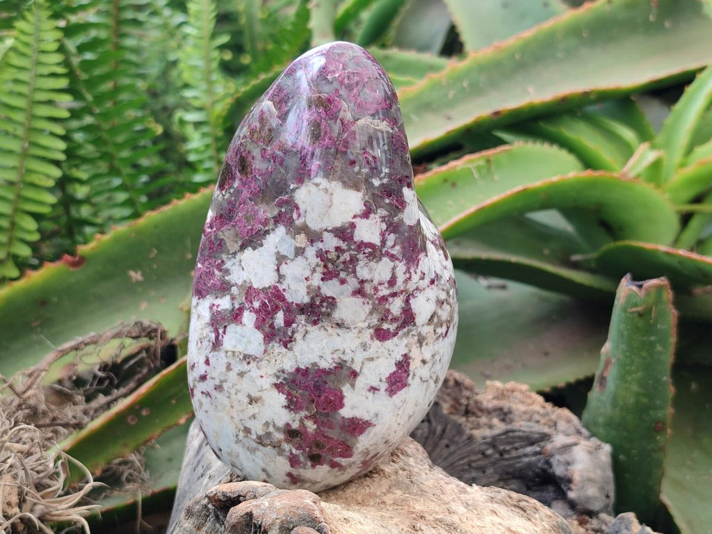 Polished Rubellite Pink Tourmaline Standing Free Forms x 2 From Ambatondrazaka, Madagascar