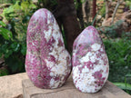 Polished Rubellite Pink Tourmaline Standing Free Forms x 2 From Ambatondrazaka, Madagascar