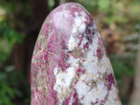 Polished Rubellite Pink Tourmaline Standing Free Forms x 2 From Ambatondrazaka, Madagascar