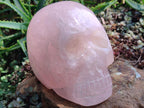 Hand Made Large Rose Quartz Skull Carving x 1 From Madagascar