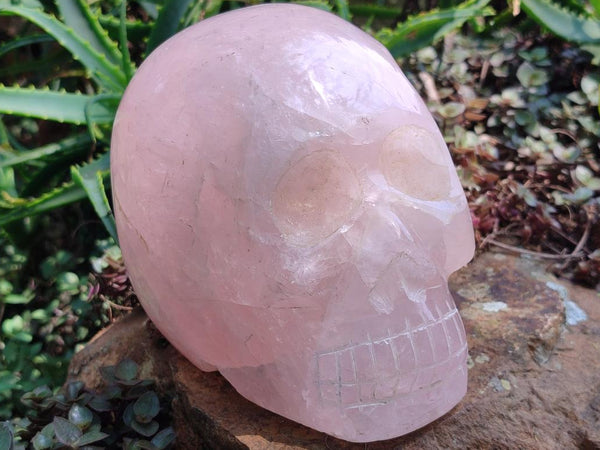Hand Made Large Rose Quartz Skull Carving x 1 From Madagascar