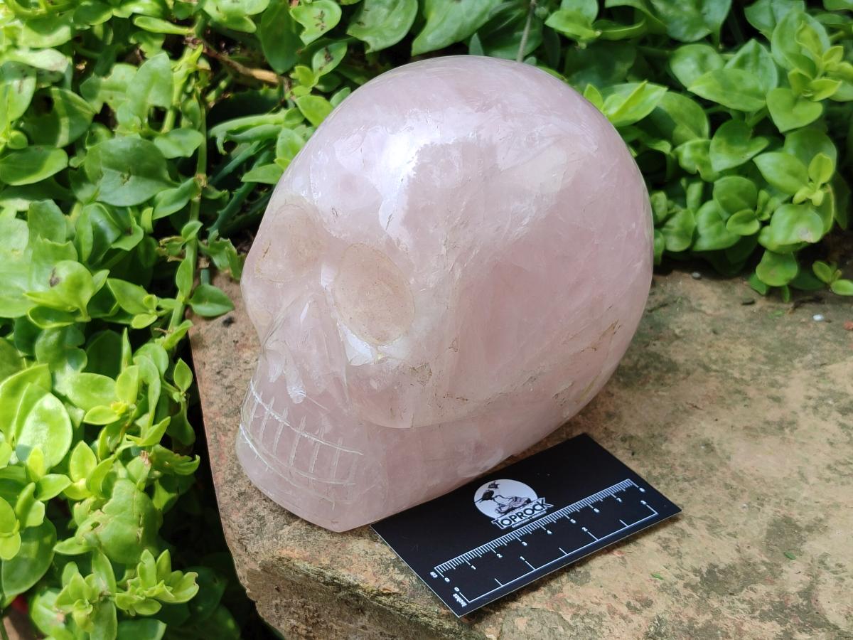 Hand Made Large Rose Quartz Skull Carving x 1 From Madagascar
