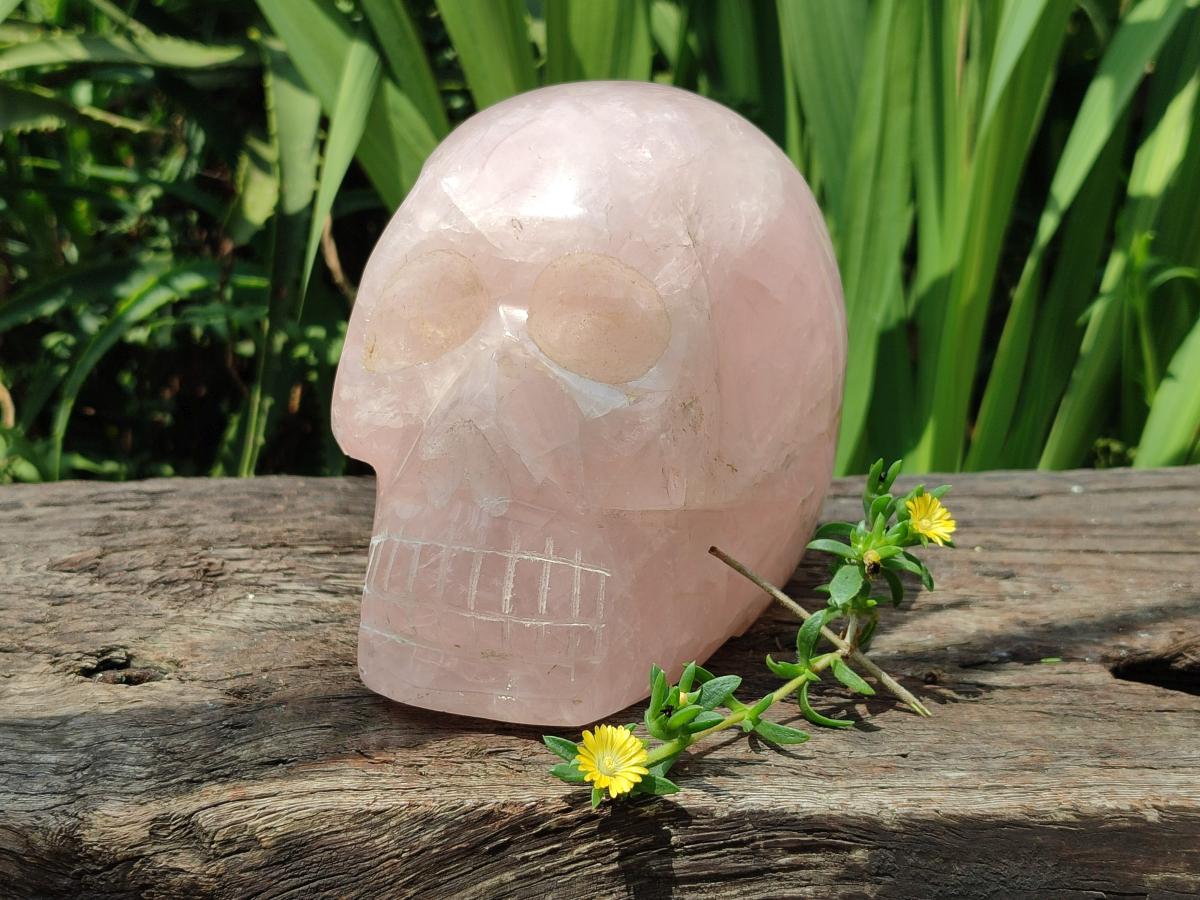 Hand Made Large Rose Quartz Skull Carving x 1 From Madagascar