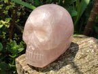 Hand Made Large Rose Quartz Skull Carving x 1 From Madagascar