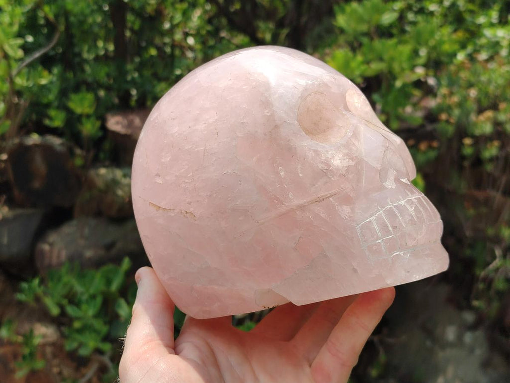 Hand Made Large Rose Quartz Skull Carving x 1 From Madagascar