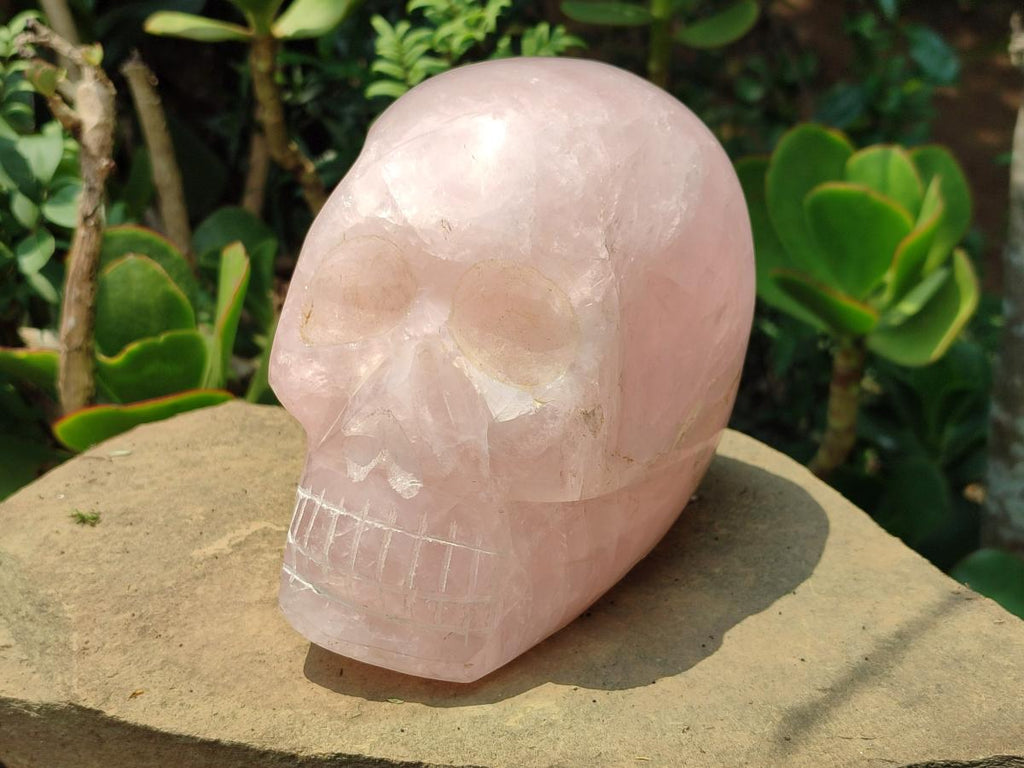 Hand Made Large Rose Quartz Skull Carving x 1 From Madagascar