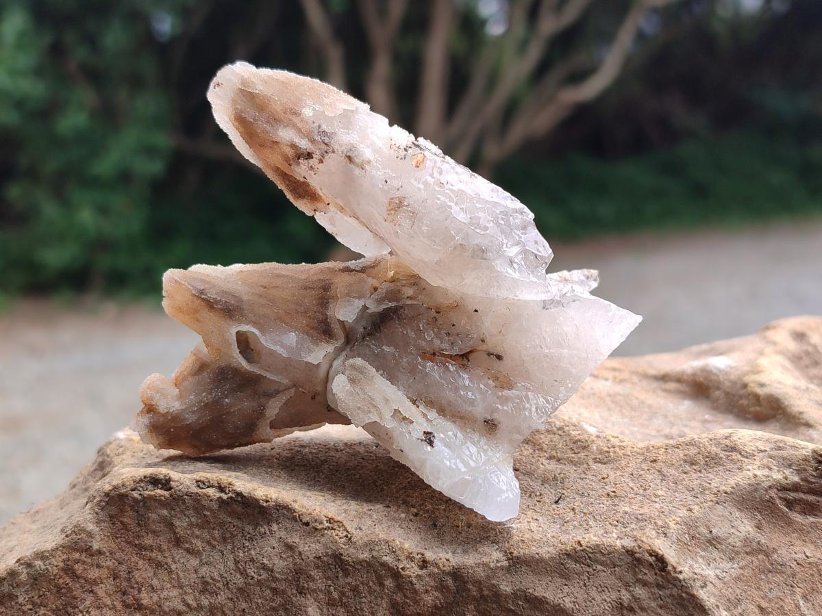 Natural Drusy Quartz Coated Spearhead Calcite Specimens x 7 From Albert's Mountain, Lesotho
