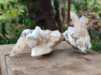 Natural Drusy Quartz Coated Spearhead Calcite Specimens x 7 From Albert's Mountain, Lesotho