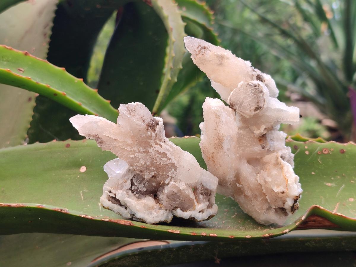 Natural Drusy Quartz Coated Spearhead Calcite Specimens x 7 From Albert's Mountain, Lesotho