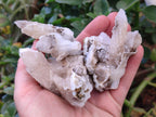 Natural Drusy Quartz Coated Spearhead Calcite Specimens x 7 From Albert's Mountain, Lesotho