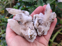 Natural Drusy Quartz Coated Spearhead Calcite Specimens x 7 From Albert's Mountain, Lesotho