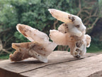 Natural Drusy Quartz Coated Spearhead Calcite Specimens x 7 From Albert's Mountain, Lesotho