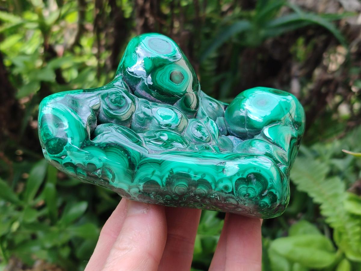 Polished Flower Banded Malachite Free Forms x 3 From Congo