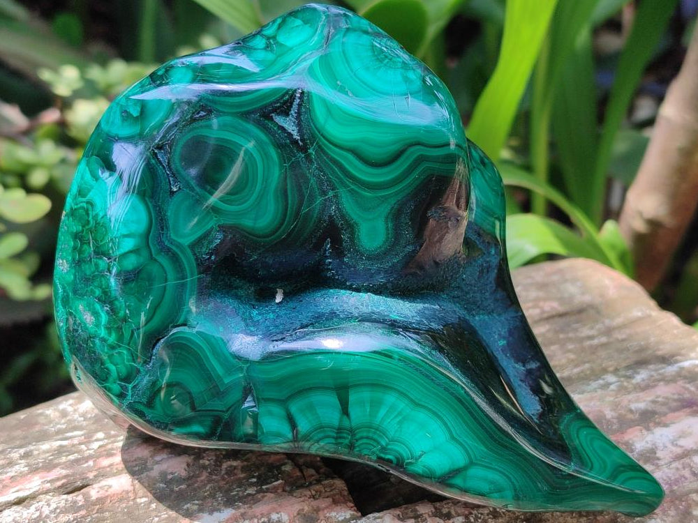 Polished Flower Banded Malachite Free Forms x 3 From Congo