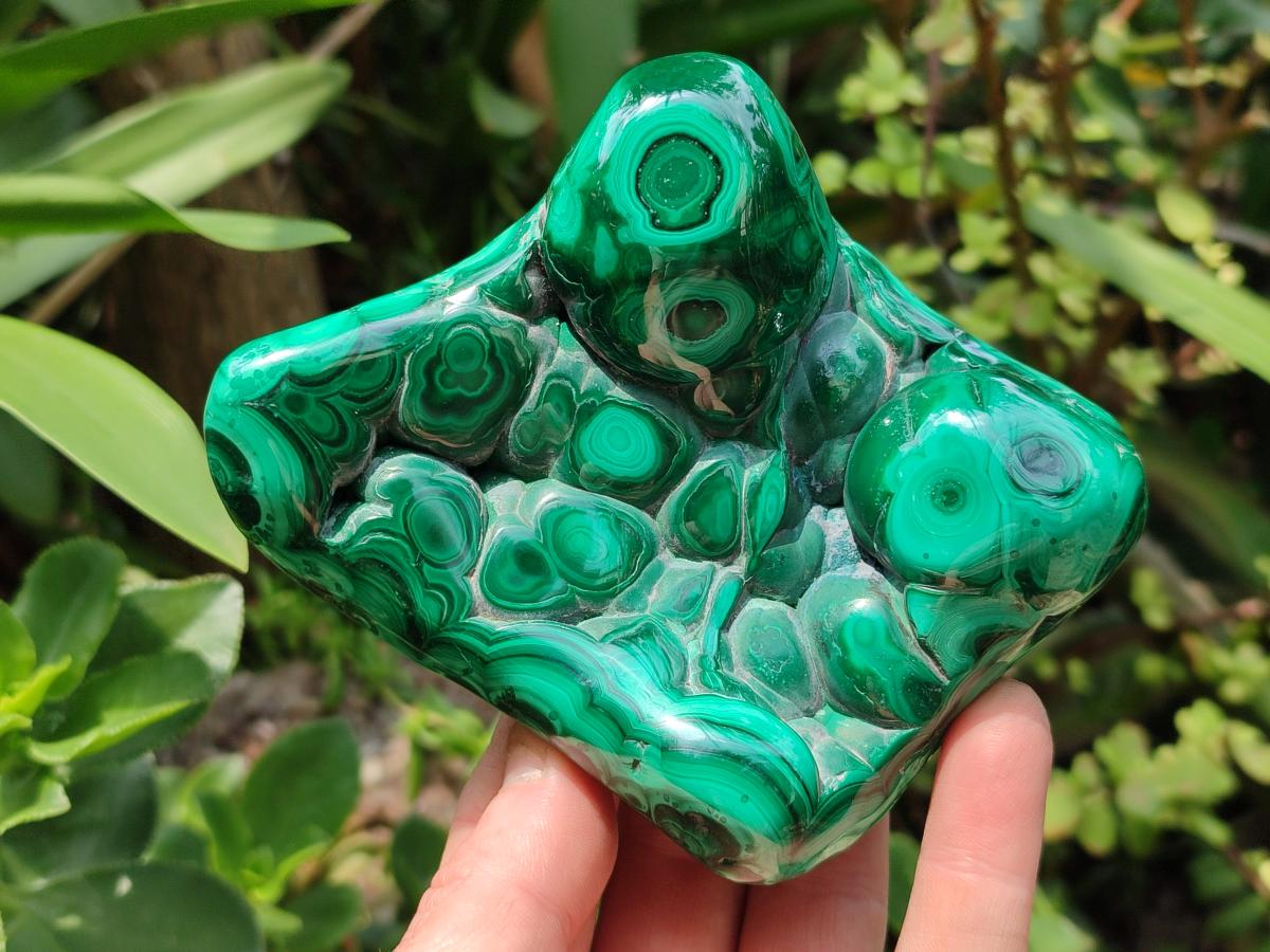 Polished Flower Banded Malachite Free Forms x 3 From Congo