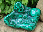 Polished Flower Banded Malachite Free Forms x 3 From Congo