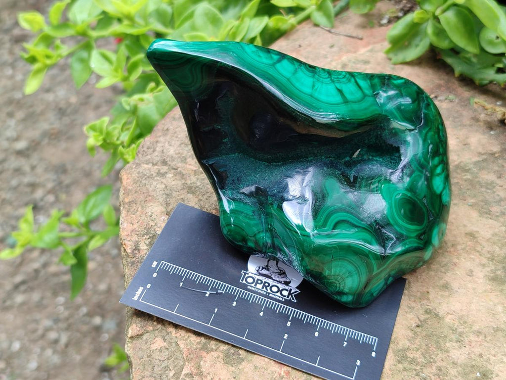 Polished Flower Banded Malachite Free Forms x 3 From Congo