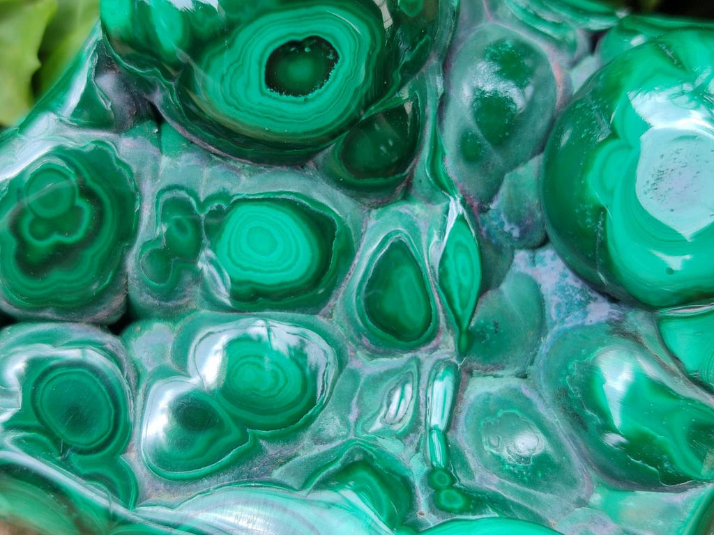 Polished Flower Banded Malachite Free Forms x 3 From Congo