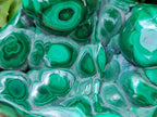 Polished Flower Banded Malachite Free Forms x 3 From Congo