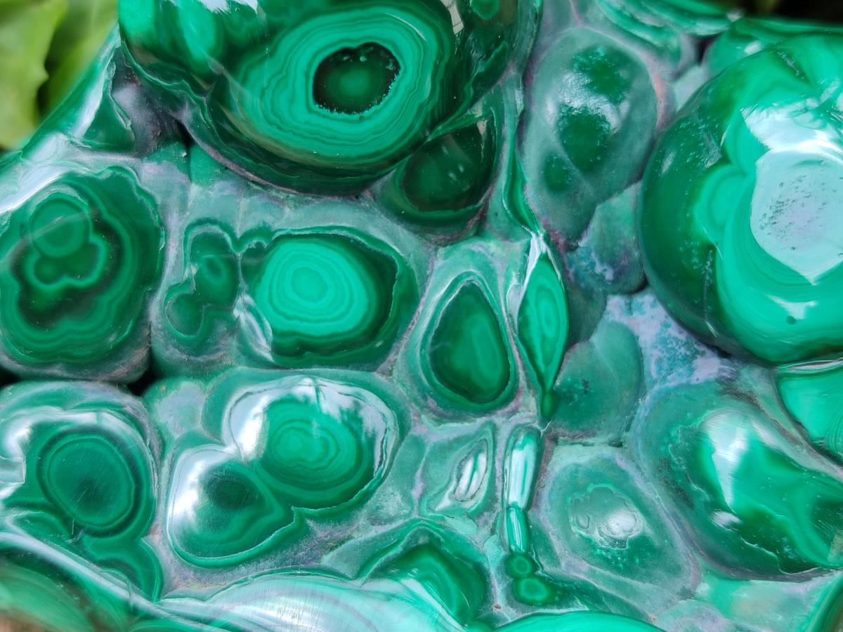 Polished Flower Banded Malachite Free Forms x 3 From Congo