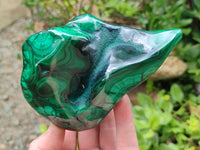 Polished Flower Banded Malachite Free Forms x 3 From Congo