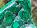 Polished Flower Banded Malachite Free Forms x 3 From Congo
