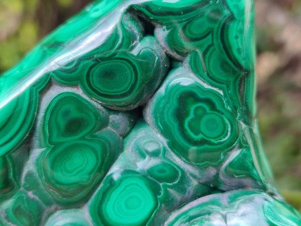 Polished Flower Banded Malachite Free Forms x 3 From Congo