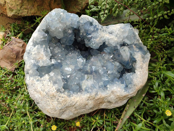 Natural XL Blue Celestite Geode Specimen x 1 From Sakoany, Madagascar