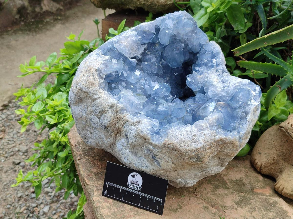 Natural XXL Blue Celestite Geode Specimen x 1 From Sakoany, Madagascar