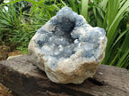 Natural XXL Blue Celestite Geode Specimen x 1 From Sakoany, Madagascar