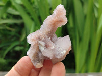 Natural Amethyst and Ametrine Spirit Quartz Clusters x 12 From Boekenhouthoek, South Africa