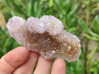Natural Amethyst and Ametrine Spirit Quartz Clusters x 12 From Boekenhouthoek, South Africa
