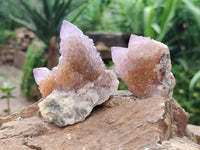 Natural Amethyst and Ametrine Spirit Quartz Clusters x 12 From Boekenhouthoek, South Africa