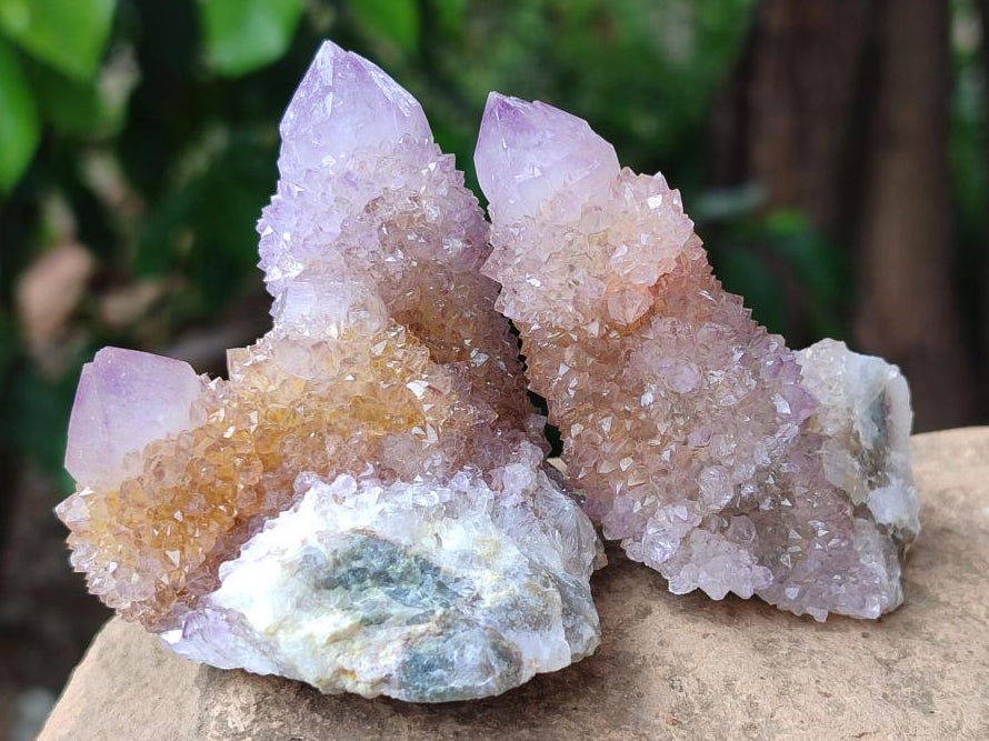 Natural Amethyst and Ametrine Spirit Quartz Clusters x 12 From Boekenhouthoek, South Africa - Toprock Gemstones and Minerals 