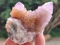 Natural Amethyst and Ametrine Spirit Quartz Clusters x 12 From Boekenhouthoek, South Africa