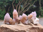 Natural Amethyst and Ametrine Spirit Quartz Clusters x 12 From Boekenhouthoek, South Africa - Toprock Gemstones and Minerals 