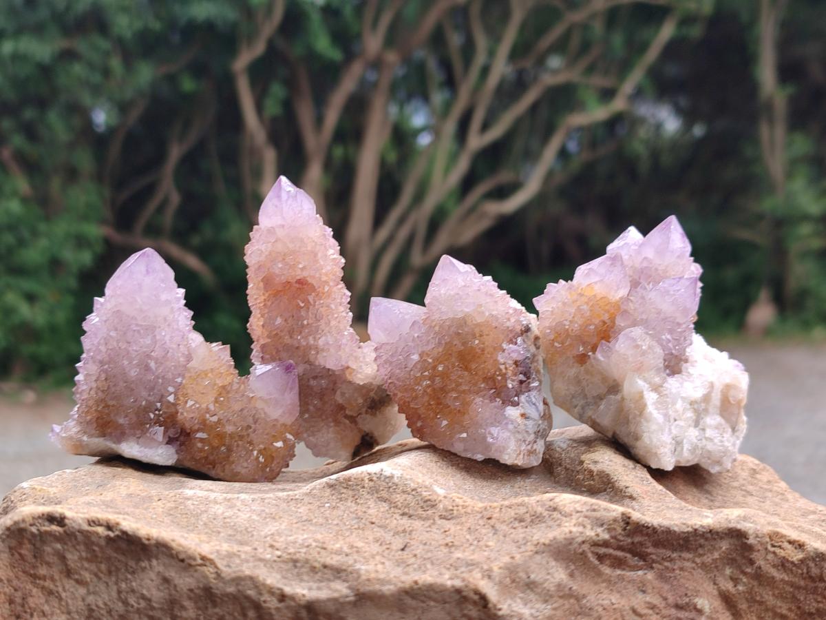 Natural Amethyst and Ametrine Spirit Quartz Clusters x 12 From Boekenhouthoek, South Africa - Toprock Gemstones and Minerals 