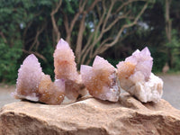 Natural Amethyst and Ametrine Spirit Quartz Clusters x 12 From Boekenhouthoek, South Africa