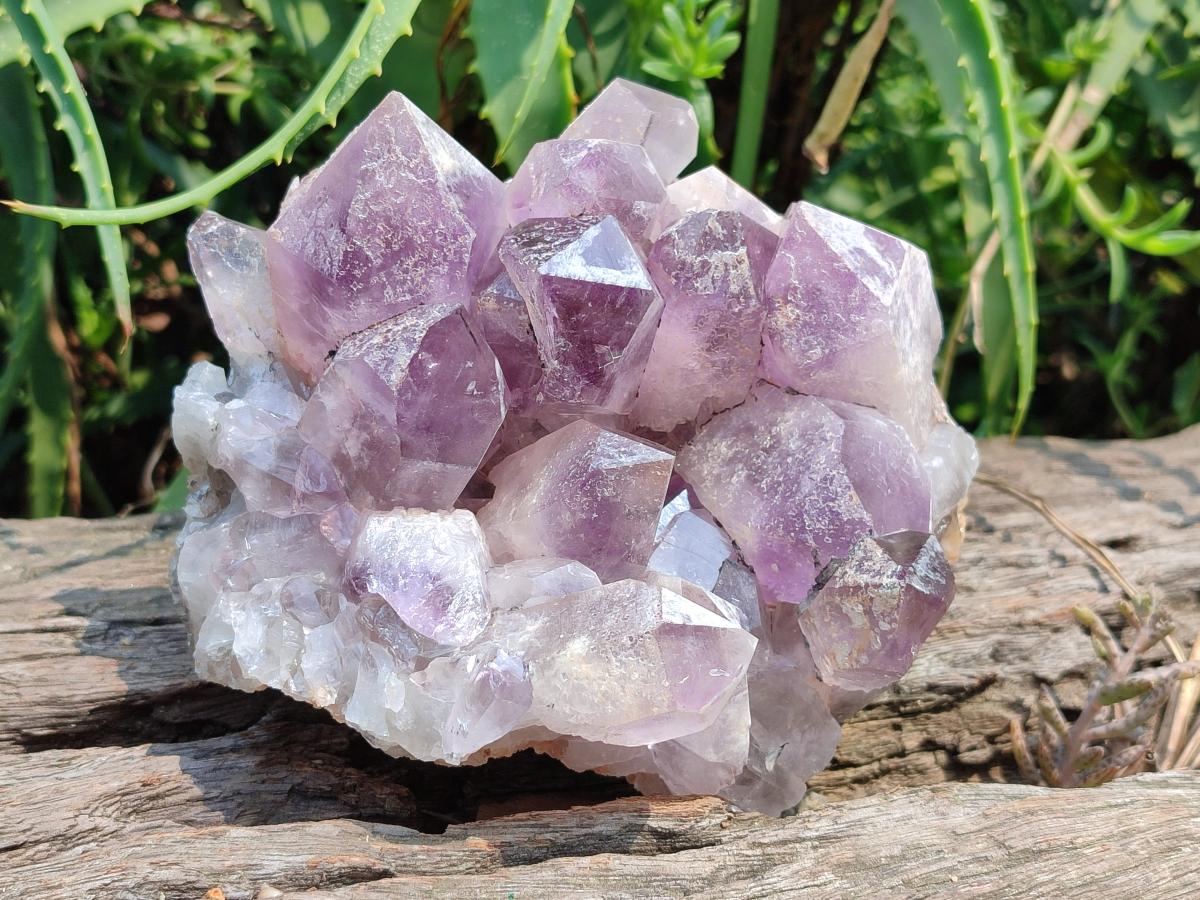 Natural Jacaranda Amethyst Crystal Clusters x 2 From Mumbwa, Zambia - Toprock Gemstones and Minerals 