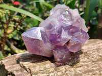 Natural Jacaranda Amethyst Crystal Clusters x 2 From Mumbwa, Zambia