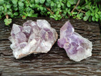 Natural Jacaranda Amethyst Crystal Clusters x 2 From Mumbwa, Zambia - Toprock Gemstones and Minerals 