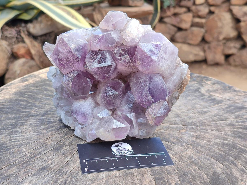 Natural Jacaranda Amethyst Crystal Clusters x 2 From Mumbwa, Zambia - Toprock Gemstones and Minerals 