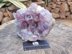 Natural Jacaranda Amethyst Crystal Clusters x 2 From Mumbwa, Zambia - Toprock Gemstones and Minerals 