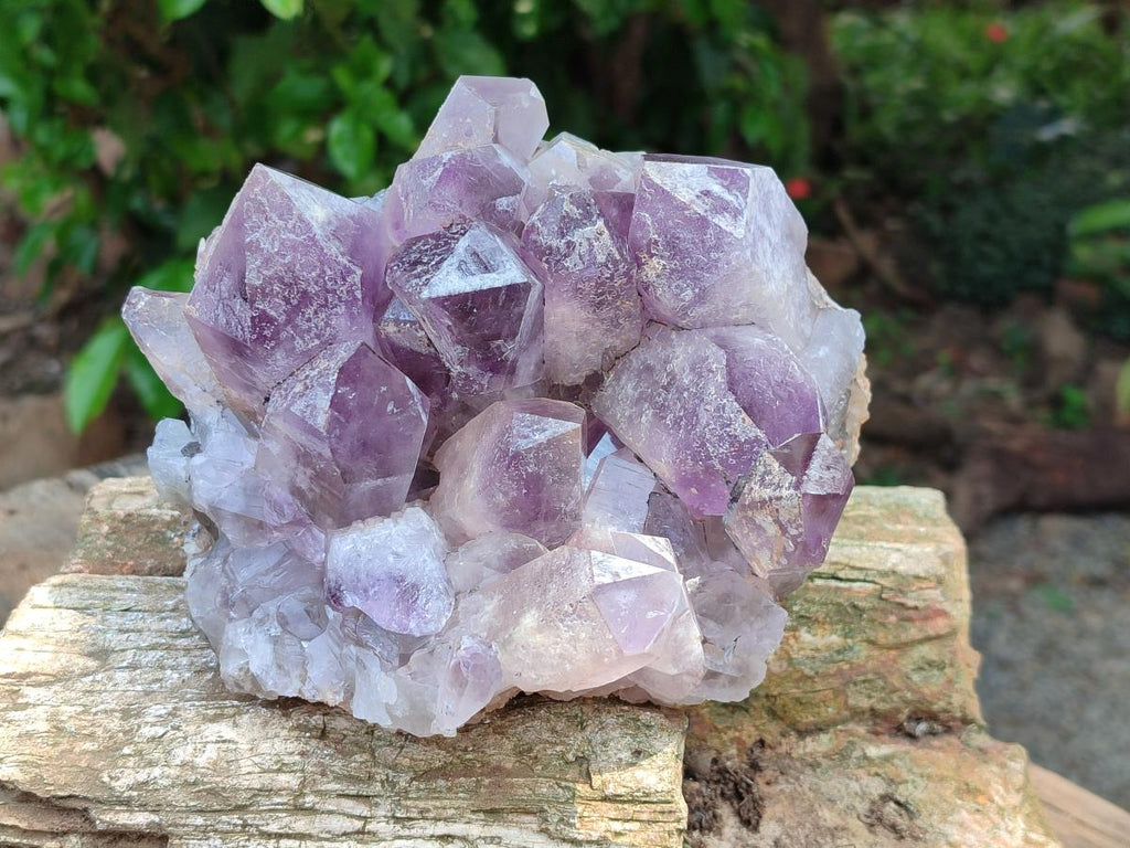 Natural Jacaranda Amethyst Crystal Clusters x 2 From Mumbwa, Zambia - Toprock Gemstones and Minerals 