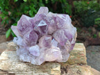 Natural Jacaranda Amethyst Crystal Clusters x 2 From Mumbwa, Zambia - Toprock Gemstones and Minerals 